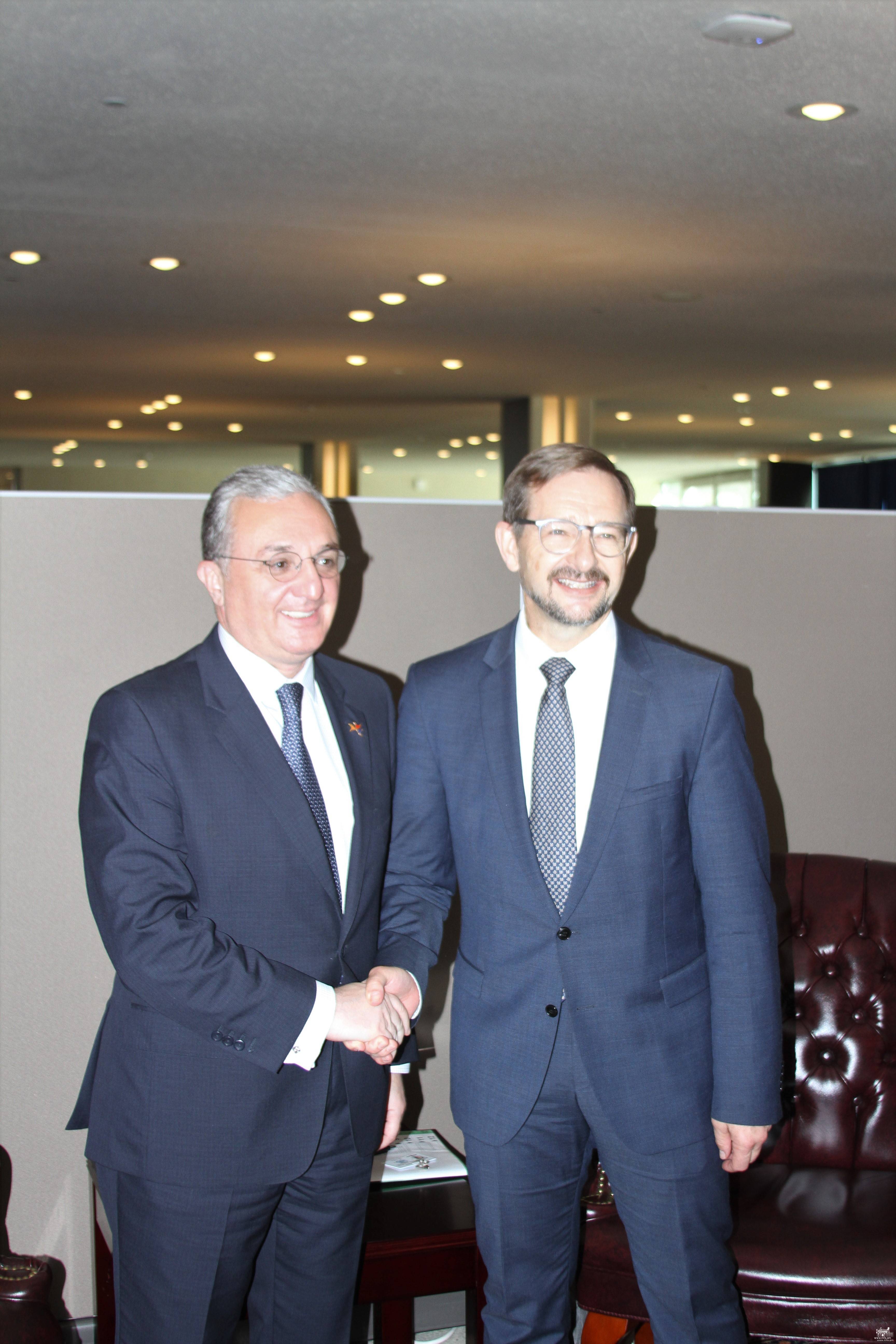 Foreign Minister Zohrab Mnatsakanyan’s meeting with Thomas Greminger, OSCE Secretary General